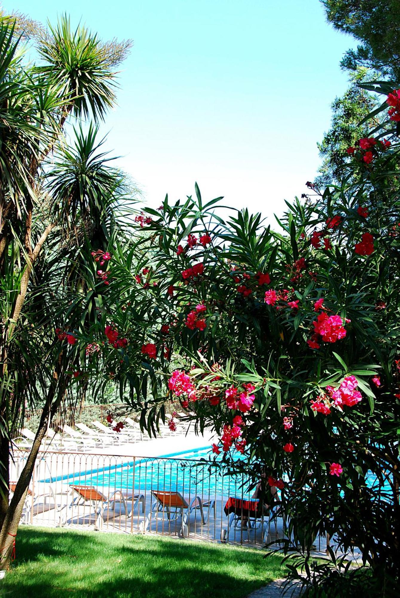 Hotel Les Mazets Des Roches Тараскон Экстерьер фото
